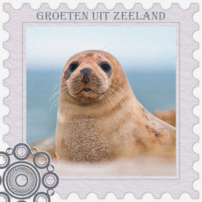 014.001 - Enkel