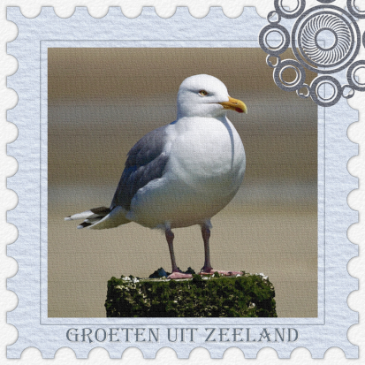 014.004 - Enkel